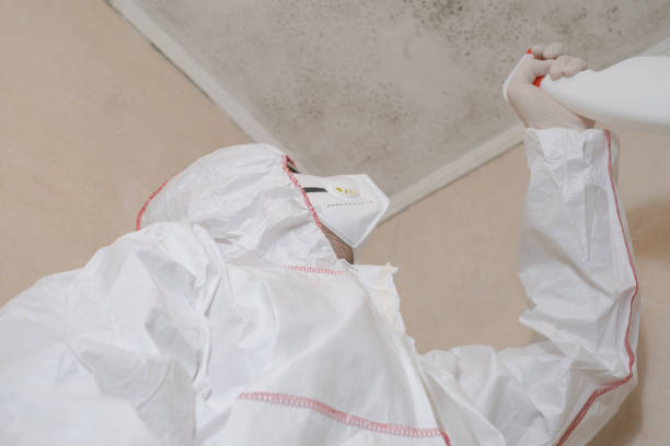 Best Certified Mold Removal  in Clarendon, TX