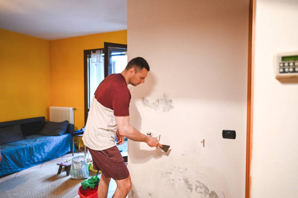 Best Mold Removal Company Near Me  in Clarendon, TX