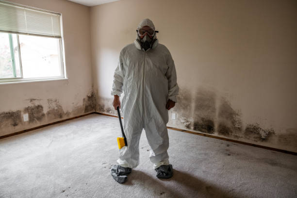 Best Toxic Mold Removal  in Clarendon, TX
